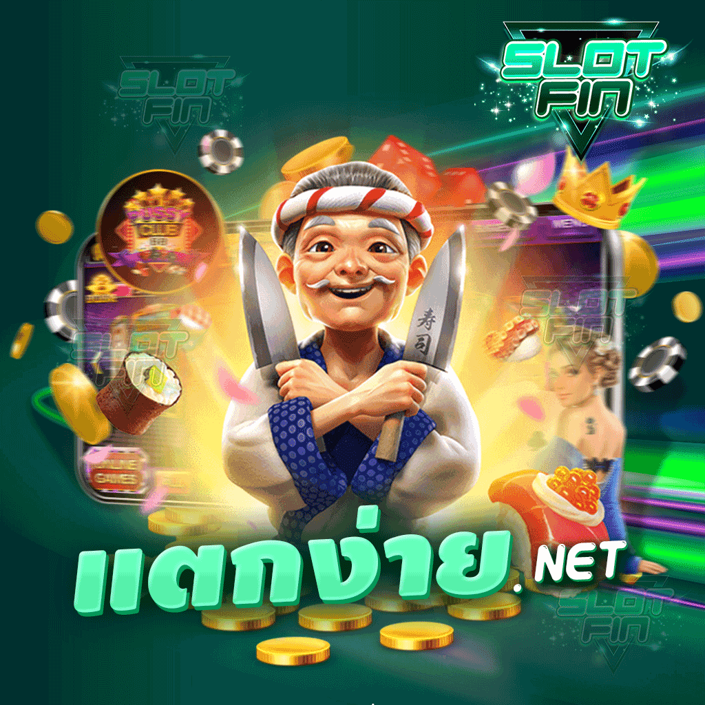 แตกง่าย net เหมาะสมกับผู้เล่นทุกเพศทุกวัย